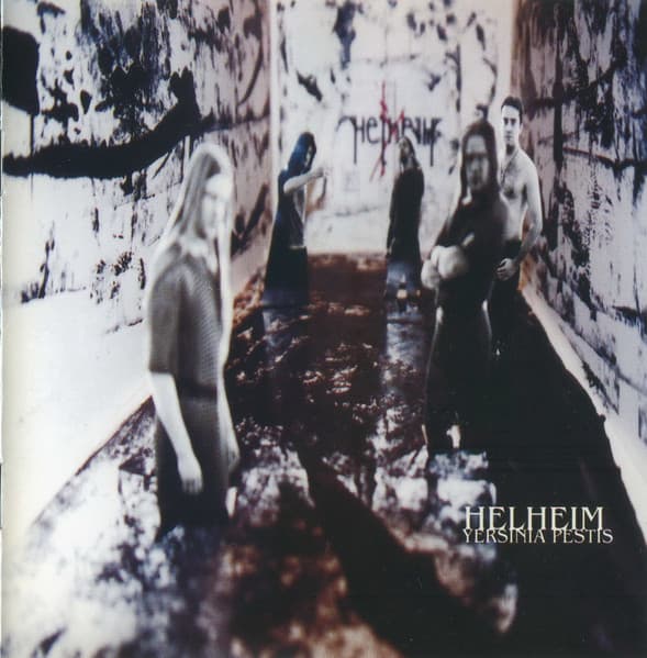 Yersinia Pestis cover