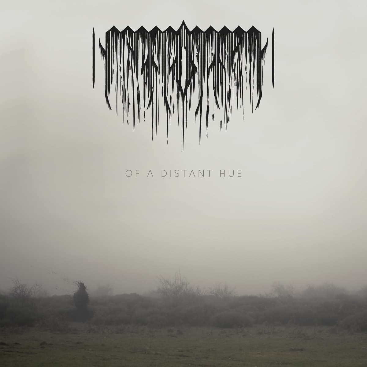 Of a Distant Hue cover