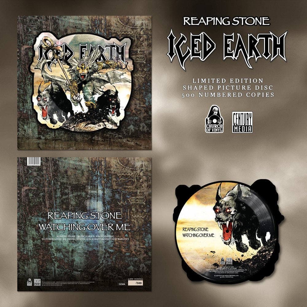 Reaping Stone cover