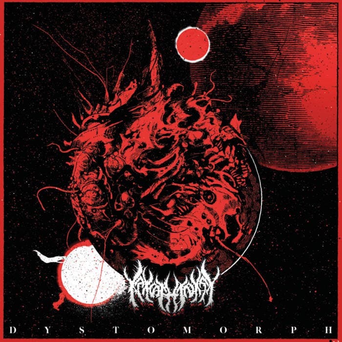 Dystomorph cover