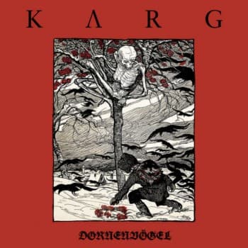 Dornenvögel cover