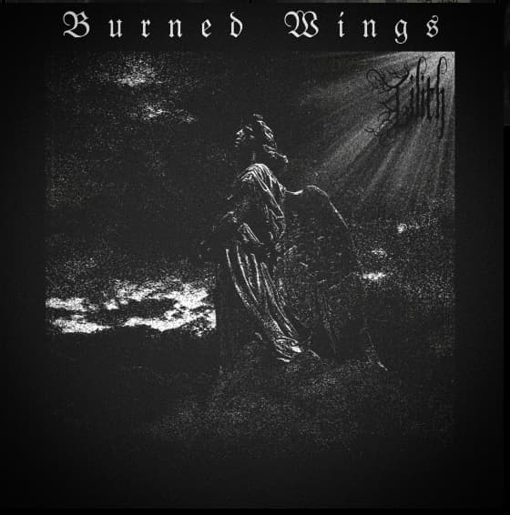 Burned Wings cover