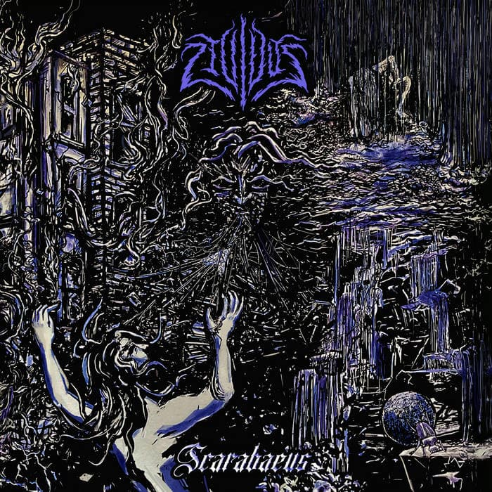 Scarabaeus cover
