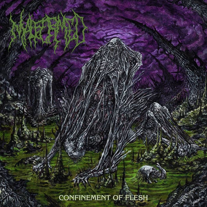 Confinement of Flesh cover
