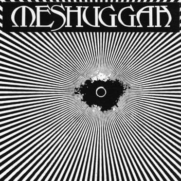 Meshuggah cover