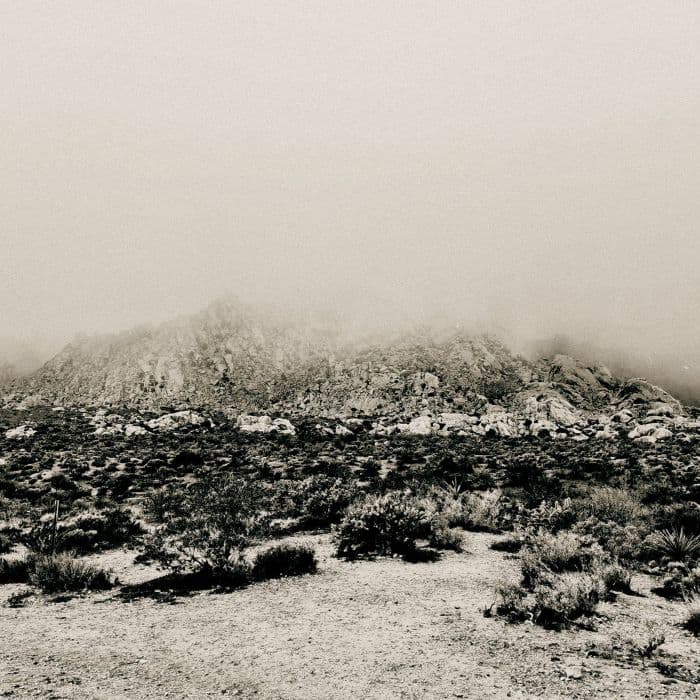 Mnemonic: Ambient Mosaic cover