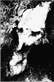 Parásito / Molbol cover
