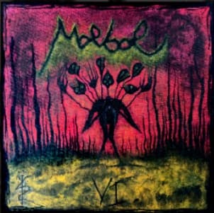 VI cover