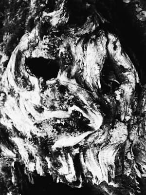 Vol.III cover