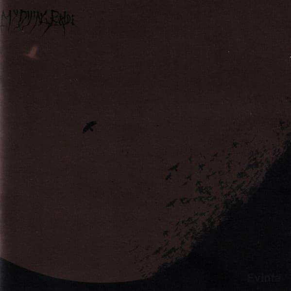 Evinta cover