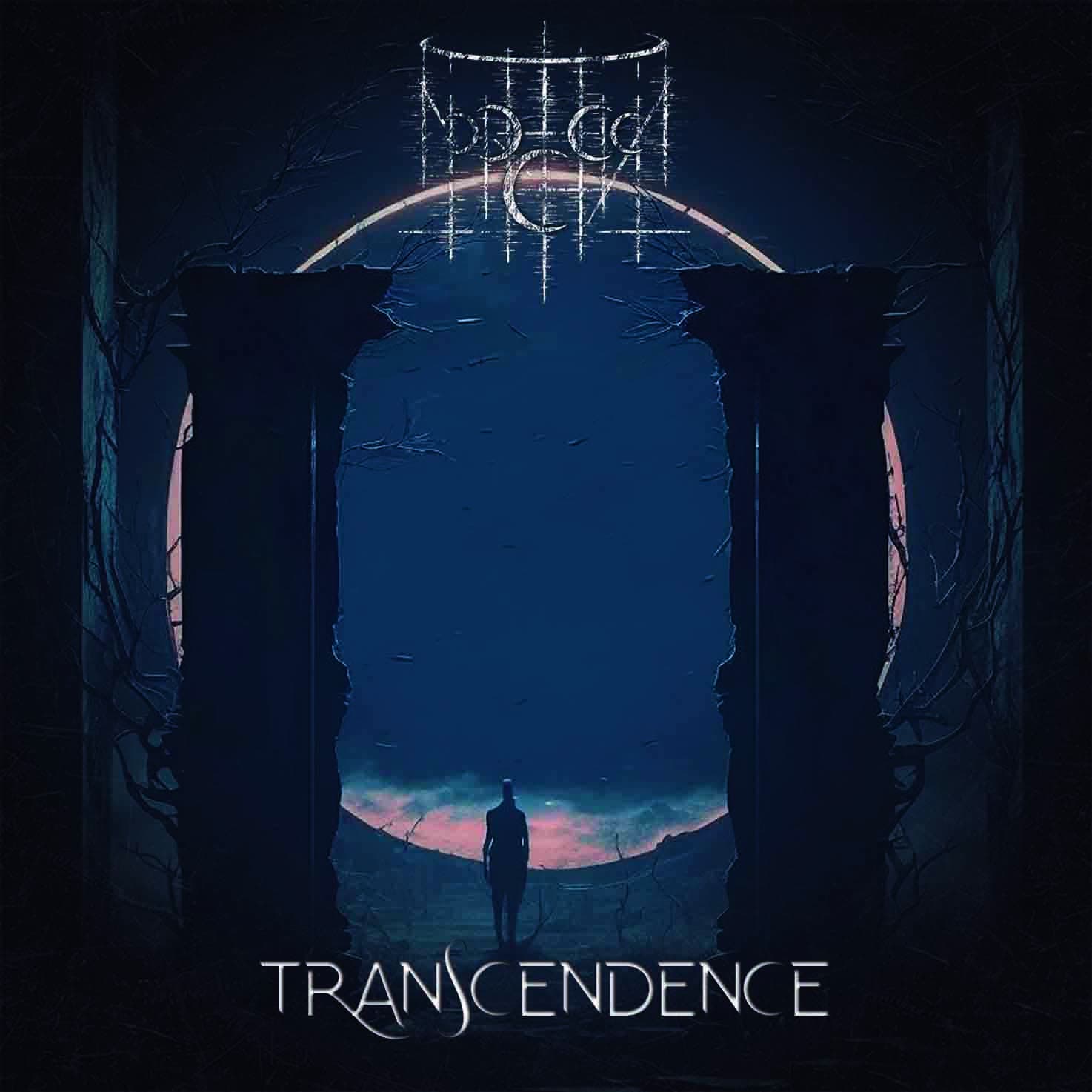 Transcendence cover