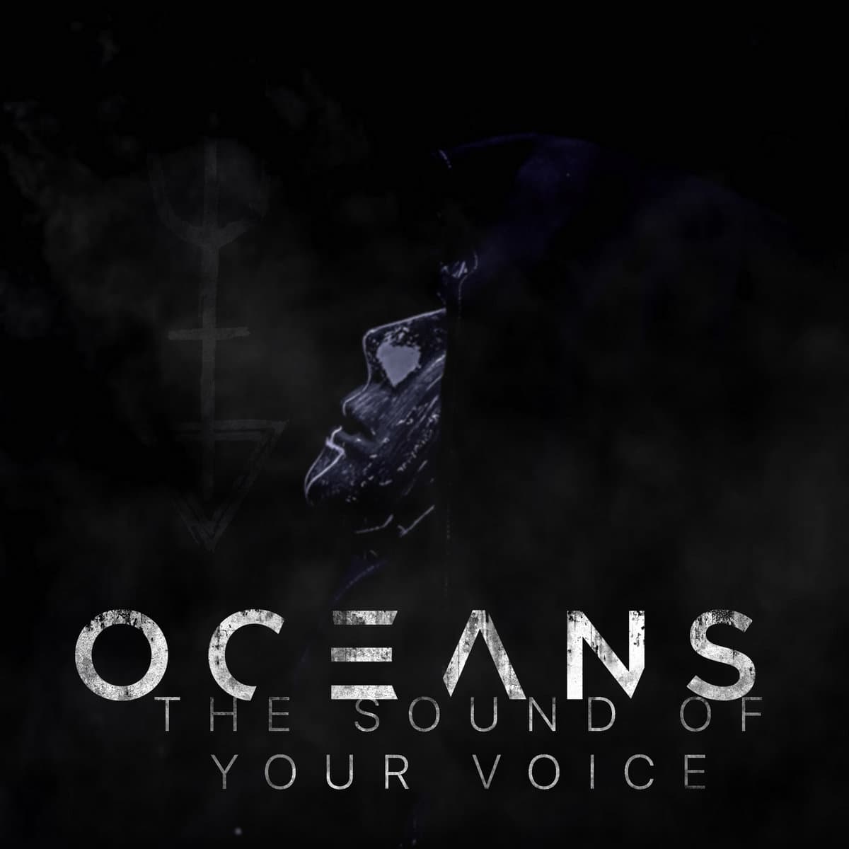 The Sound of Your Voice cover