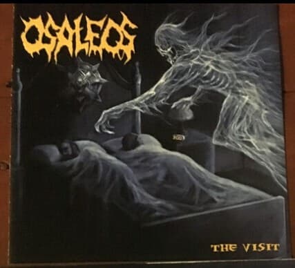 The Visit cover