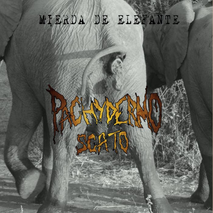 Mierda de elefante cover