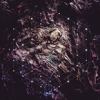 Unfold the God Man cover