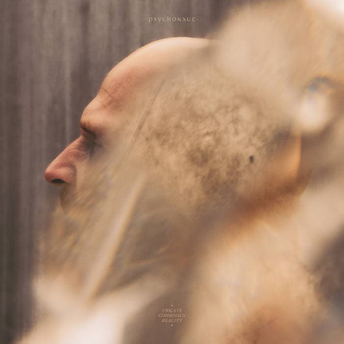 Violate Consensus Reality cover