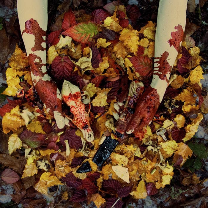 Severance cover