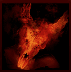 Fire and Flame cover