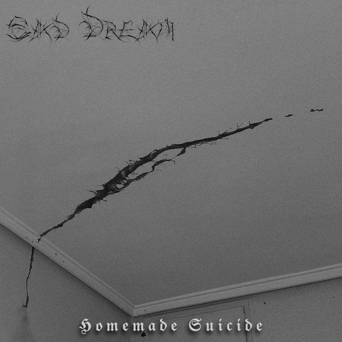 Homemade Suicide cover