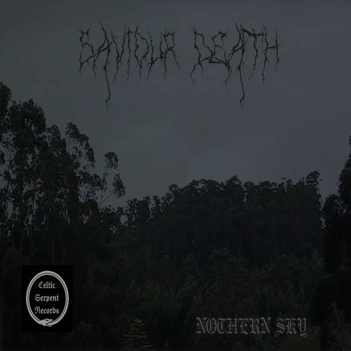 Northern Sky cover