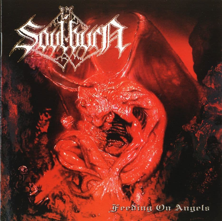 Feeding on Angels cover