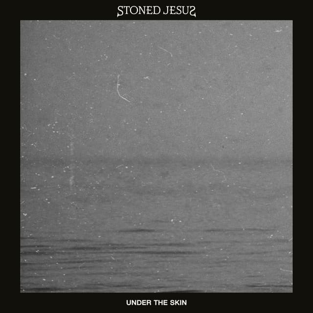 Under the Skin cover