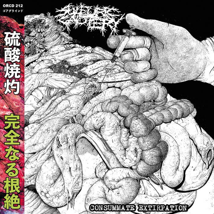 Consummate Extirpation cover
