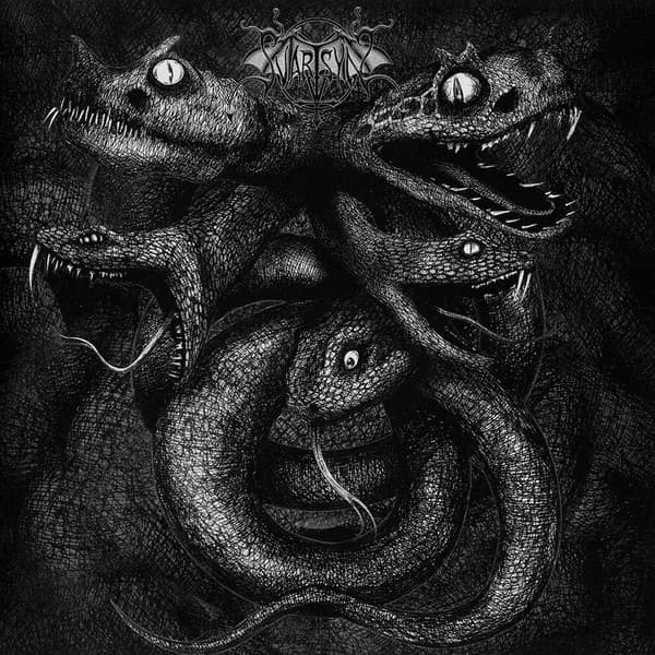 Timeless Reign cover
