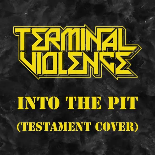 Into the Pit cover