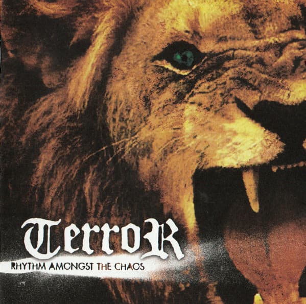 Rhythm Amongst the Chaos cover
