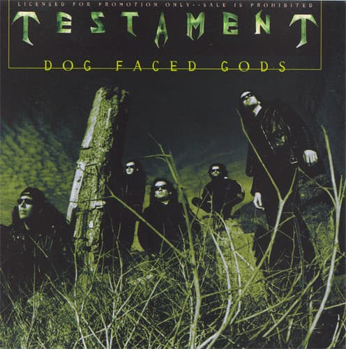 Dog Faced Gods cover
