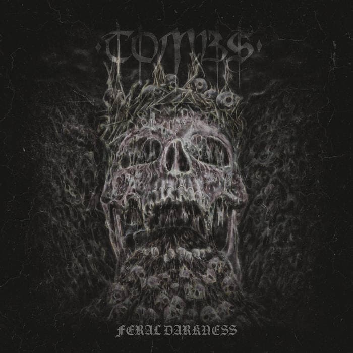 Feral Darkness cover