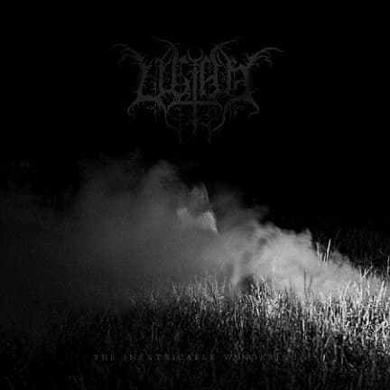 The Inextricable Wandering cover