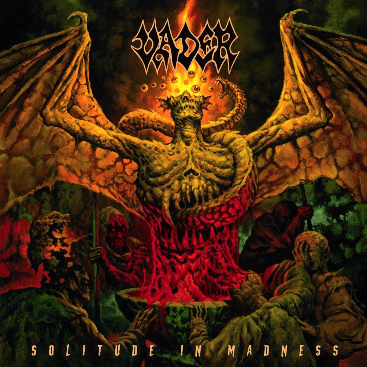 Solitude In Madness cover