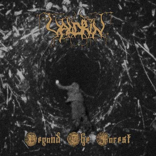 Beyond the Forest cover