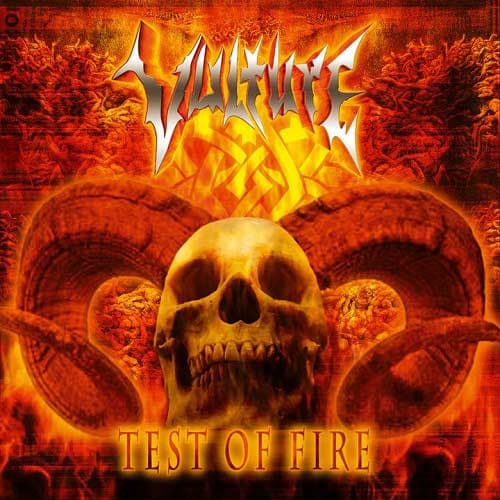 Test of Fire cover