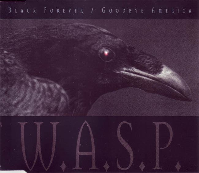 Black Forever / Goodbye America cover
