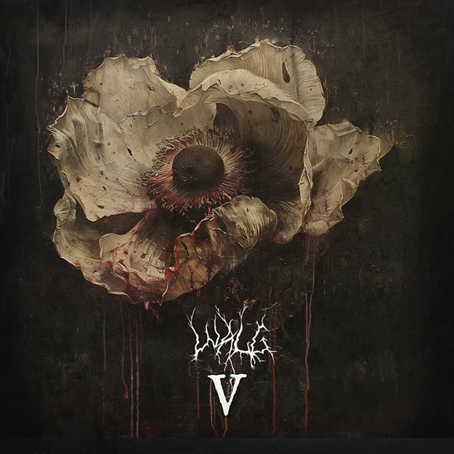 V cover
