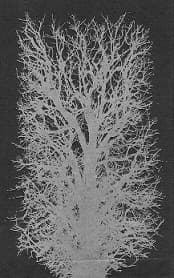 Hammer of Night cover