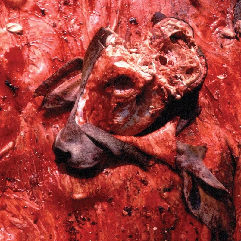 Human Jerky cover