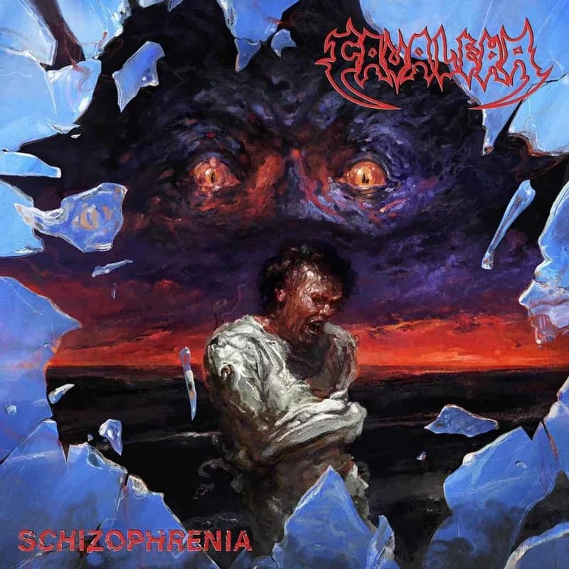 Schizophrenia cover