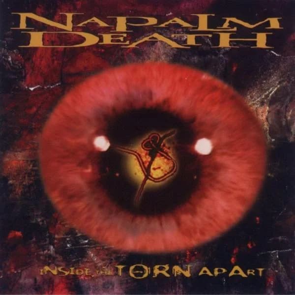 Inside the Torn Apart cover