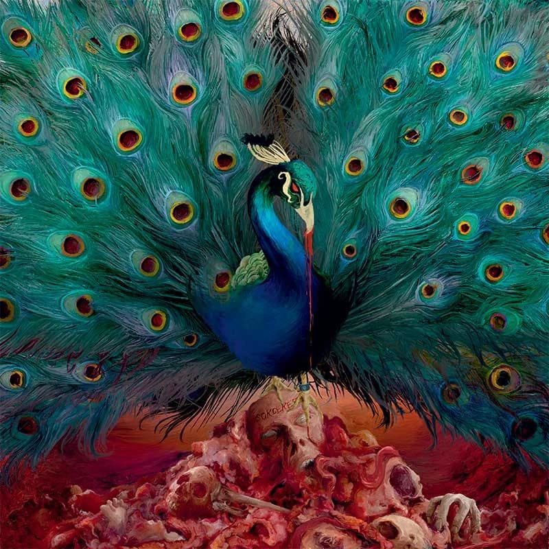 Sorceress cover