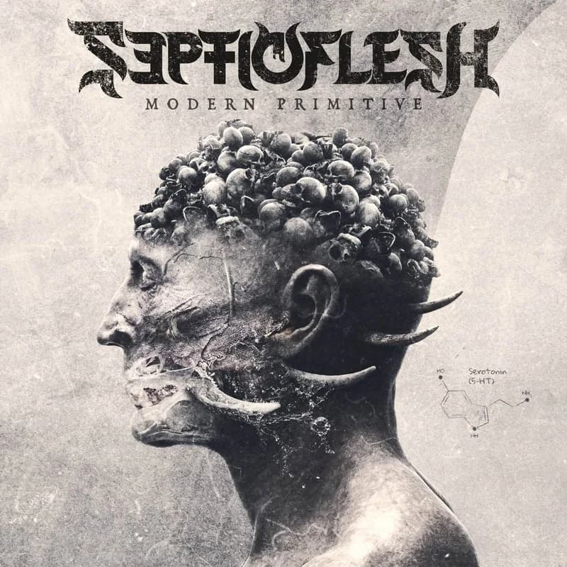 Modern Primitive cover