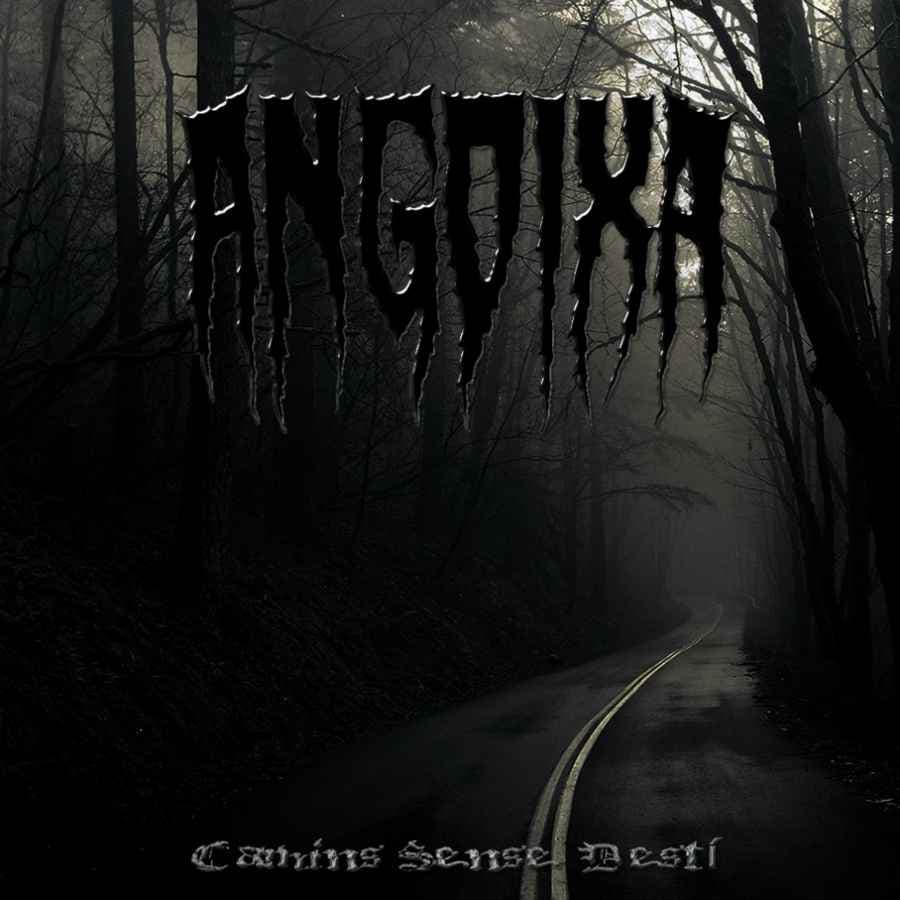 Camins sense destí cover