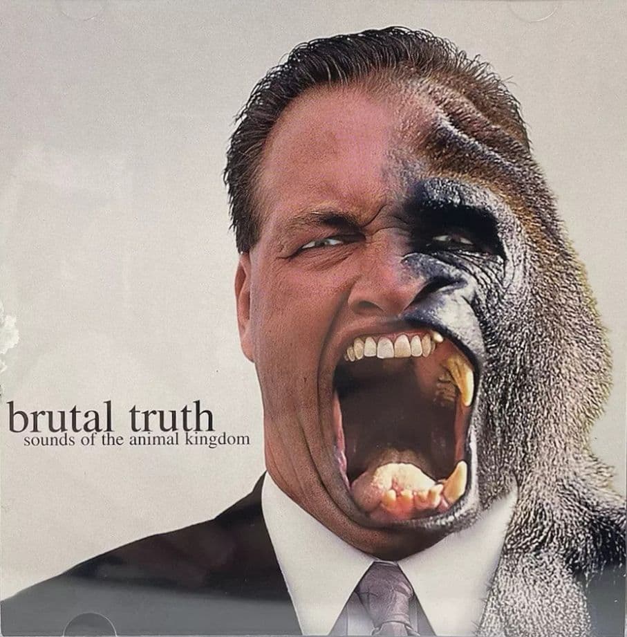 Sounds of the Animal Kingdom