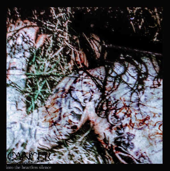 Into the Heartless Silence