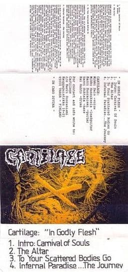 In Godly Flesh cover