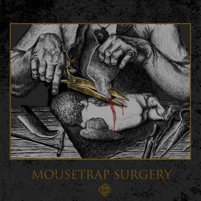 Mousetrap Surgery cover