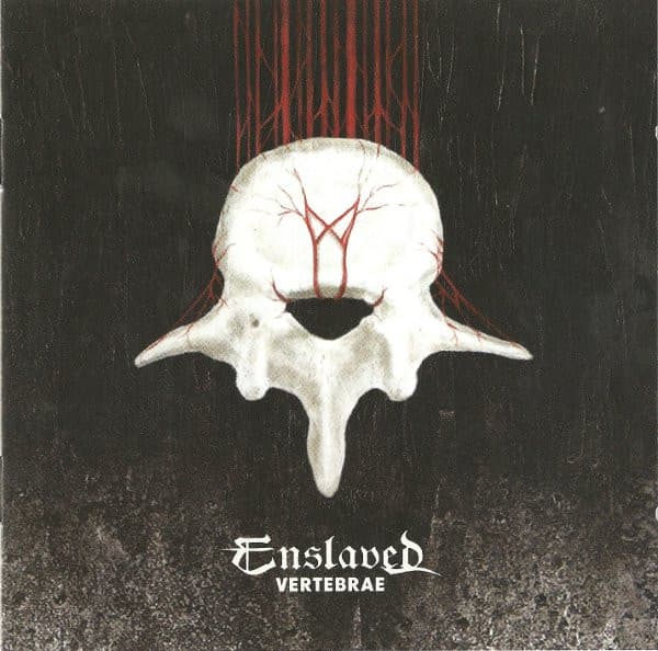 Vertebrae cover